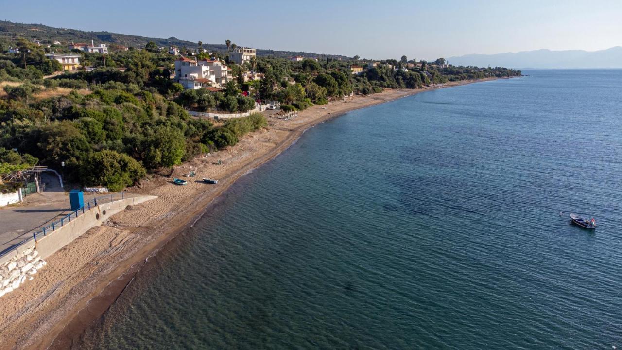 חראני 5 Meters From The Beach מראה חיצוני תמונה
