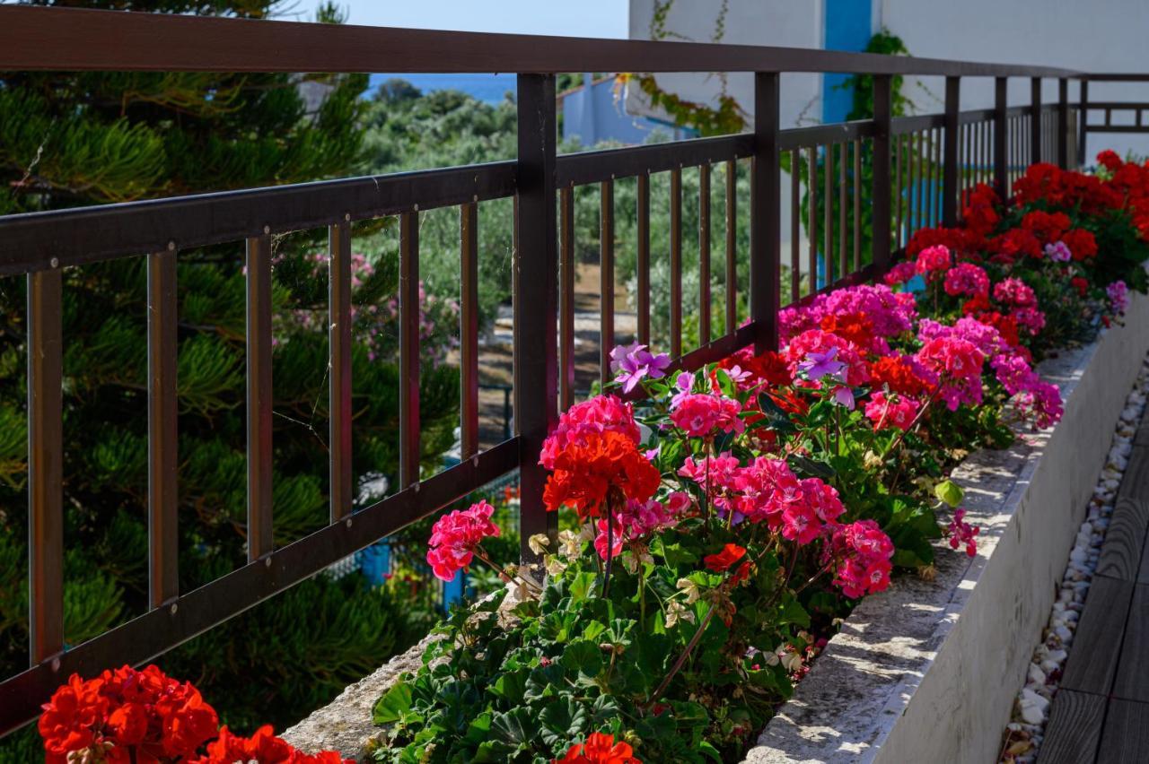 חראני 5 Meters From The Beach מראה חיצוני תמונה