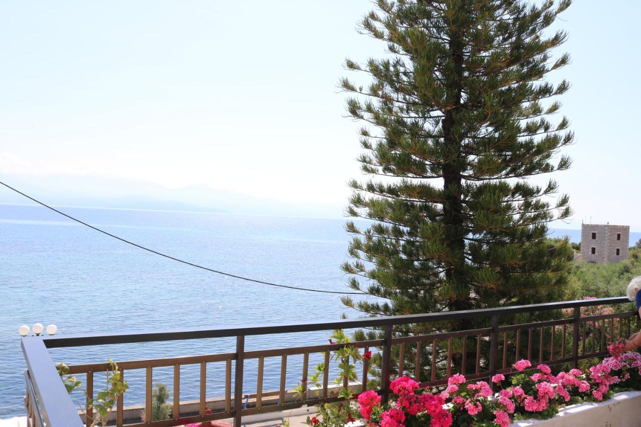 חראני 5 Meters From The Beach מראה חיצוני תמונה